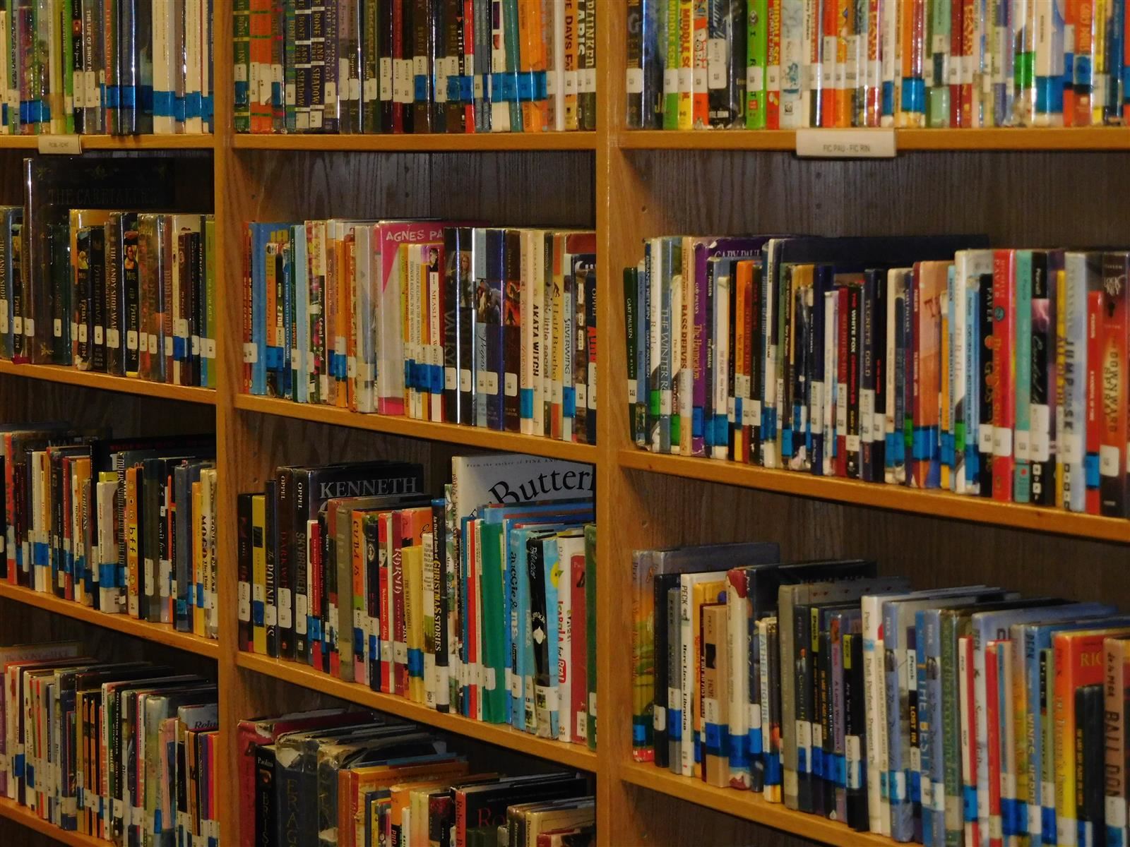 Library shelves