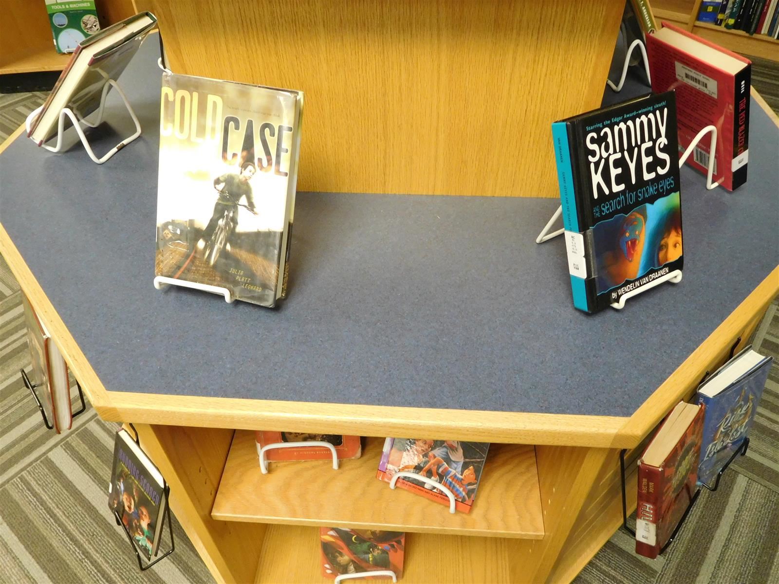 Library Display Table