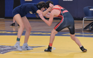 wrestling match