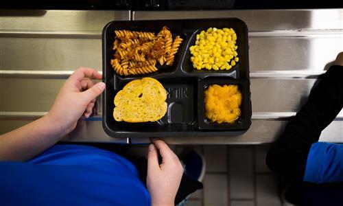 Lunch tray with food 