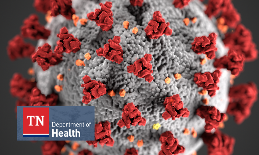 tn department of health - covid cell 