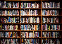  Library Shelves