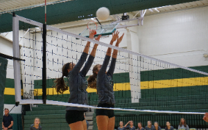  Two person volleyball picture.