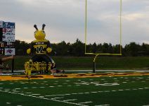  Yellow jacket blow up mascot
