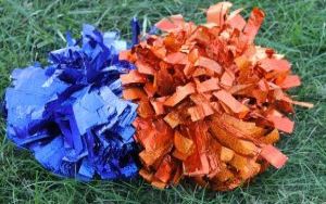  Orange and blue pom poms on grass.