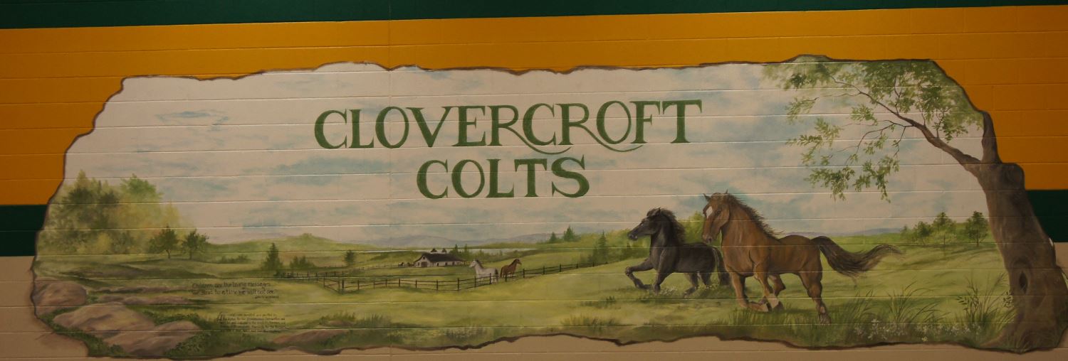 Clovercroft colt picture 