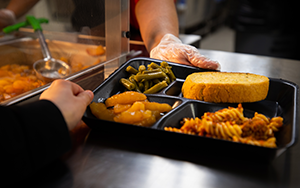  tray of food