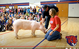 principal with pig 