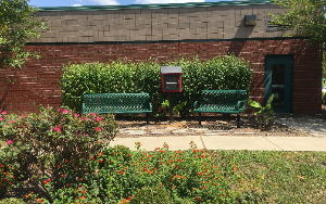 Image shows courtyard and Little Library with benches provided by PTO.